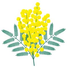 a bunch of yellow flowers on a white background