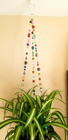 a potted plant with beads hanging from it