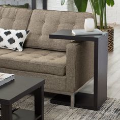 a living room with a couch, coffee table and potted plant