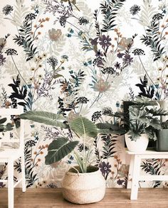 the wallpaper is decorated with various plants and potted plants in front of it