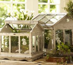 two small greenhouses with plants in them sitting on a table next to a potted plant