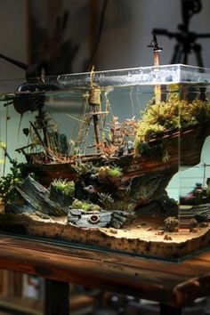 Setup Fish Tank, Terrarium Fish Tank Ideas, Cool Aquarium Ideas Fish Tanks, Cool Aquarium Ideas, Aqua Scape Ideas, Fish Tank Decorations Themes, Fish Tank Themes Creative, Unique Aquariums, Cute Fish Tank Ideas