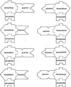 an image of different types of words that are in the shape of arrows and numbers