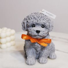 a small gray dog sitting on top of a table next to some white marshmallows