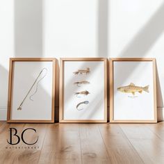 three framed pictures of fish are on the floor in front of a white wall and wooden floors