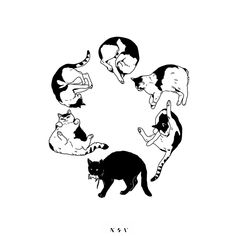 six black and white cats in a circle on a white background with the words i love cats written below it