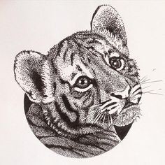 a black and white drawing of a tiger's face in a circular pattern on paper