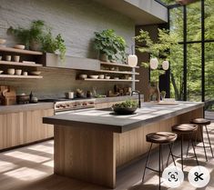 a large kitchen with lots of counter space and plants on the shelves over the island