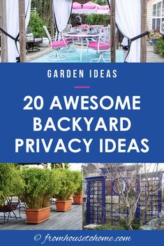 some backyard privacy ideas with text overlay