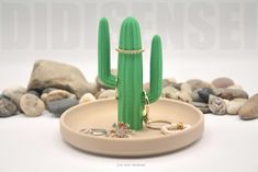 a small green cactus on a plate surrounded by rocks and stones, with two rings in the foreground