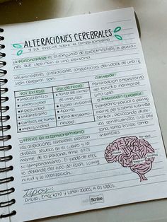 an open notebook with some writing on it and a drawing of a brain in the middle