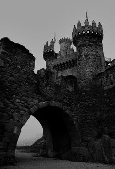 an old stone castle with two towers and gates