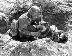 a man kneeling down next to a dog on top of a rocky hill with a backpack