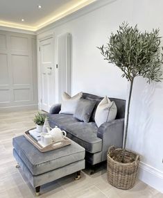 a living room filled with furniture and a potted plant