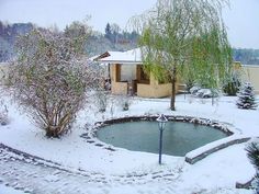 a small pond surrounded by snow in front of a house with trees on the other side