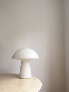 a white mushroom sitting on top of a table