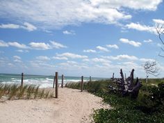 an empty beach with grass and bushes on the sand near the water's edge