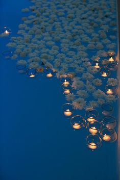 many lit candles are on the table with flowers in them and floating water behind it