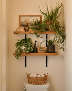 two shelves with plants on them above a toilet