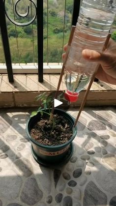 394K views · 5.5K reactions | Drop ❤️ if you want more posts like this
Make your own ✨eco-friendly plant watering tools ✨ from plastic bottles!
#seedconnect #gardening #gardeningtips | Seed Connect Garden Ideas With Plastic Bottles, Plant Watering, Vegetable Garden Diy, Plant Hacks, Veg Garden, Diy Water, Container Gardening Vegetables, Organic Gardening Tips, Diy Plants