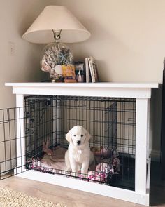 a white dog sitting in a cage on top of a wooden floor next to a lamp