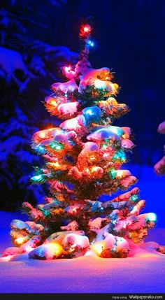 a lit up christmas tree in the snow