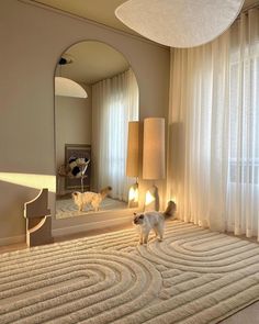 a cat is standing on the carpet in front of a large mirror and lamp next to a window