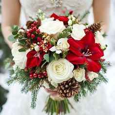 a bride holding a red and white bouquet with pine cones on the side, surrounded by greenery