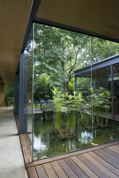 the inside of a house with glass walls and plants on the outside wall, along with wooden flooring