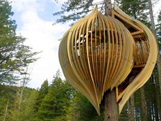 a wooden tree house in the middle of a forest