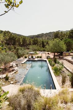 an outdoor swimming pool surrounded by greenery and trees in the middle of a wooded area