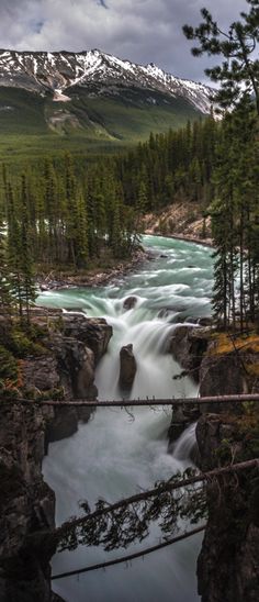 a river running through a forest filled with lots of trees and snow covered mountains in the background