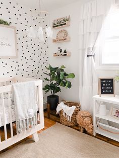 a baby's room with black and white polka dot wallpaper, wicker baskets, crib, potted plant, and rug