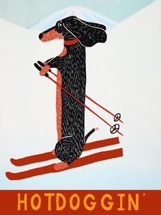 a black and brown dog riding skis on top of a snow covered slope with the words hotdoggin written below it