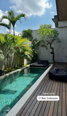 an outdoor swimming pool surrounded by palm trees and other greenery on the side of a house