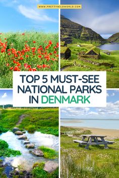 the top 5 must - see national parks in denmark