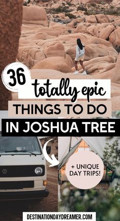 there are many different things to do in joshua tree