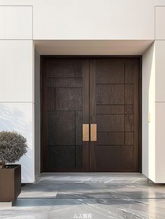 two brown doors are open in front of a white wall and potted planter