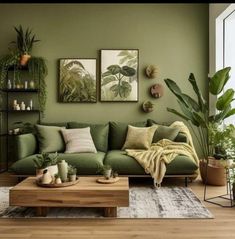 a living room with green walls and plants on the wall