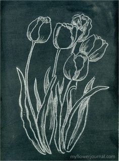 a chalkboard drawing of tulips with seasonal flower illustrations i sign inspirationally