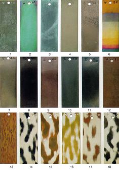 the different colors and patterns of animal print luggage tags