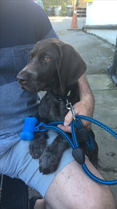 a man is holding a dog on a leash while he holds it in his lap