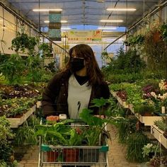 a woman pushing a shopping cart in a greenhouse filled with plants and other greenery