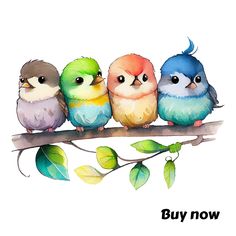 three colorful birds sitting on a branch with the words buy now written below it in black