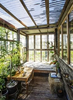 a sun room with lots of windows and plants