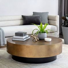 a living room with a couch, coffee table and potted plant