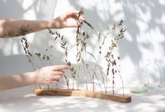 a person reaching out their hand to touch some plants on a wooden stand that is sitting on a table