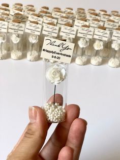 a hand holding a tiny white flower in front of a row of small bottles with labels on them