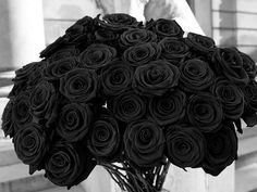 a vase filled with black roses on top of a table