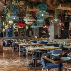 an empty restaurant with blue chairs and hanging lights above the tables, along with potted plants